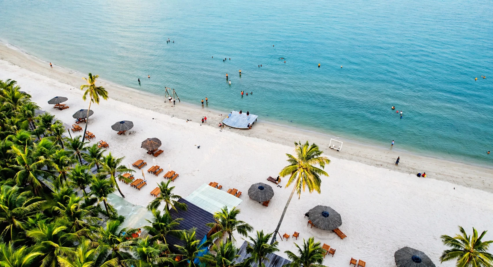 Bãi biển có hàng dừa nhìn từ trên cao